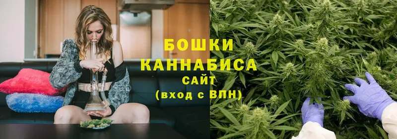 Канабис гибрид  shop наркотические препараты  Алексин  цена наркотик 